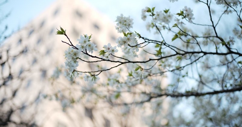 Leica M10-Pで春の花をスナップ