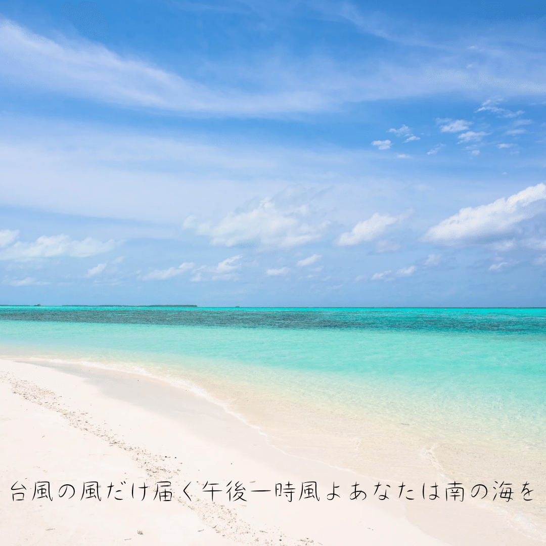 晴れているけれど、強い風が吹いています 遠くの台風の、こんな風が好きです 南の海を最後にみたのは20年も前のこと いつか、みられるかな｜リコット