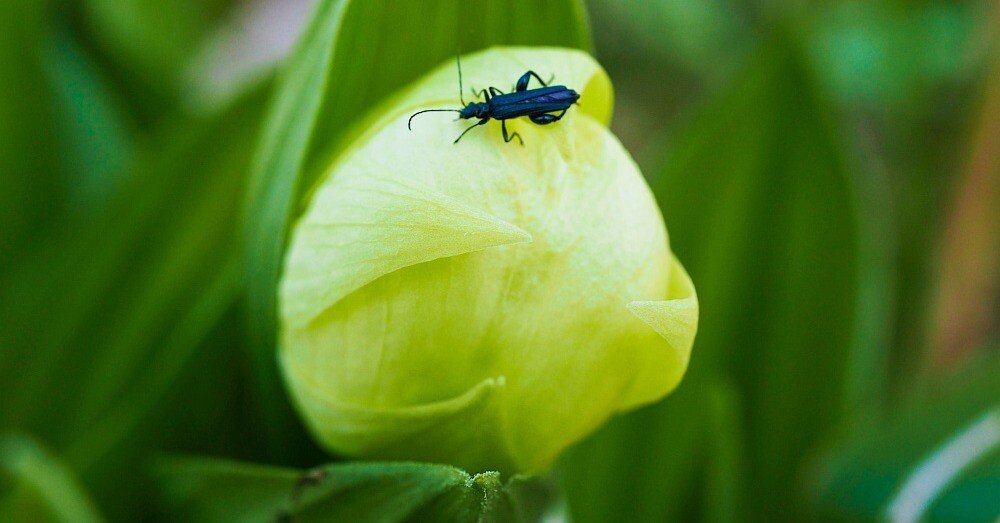 0c51f7c678f3a21cc8f0844f44450f