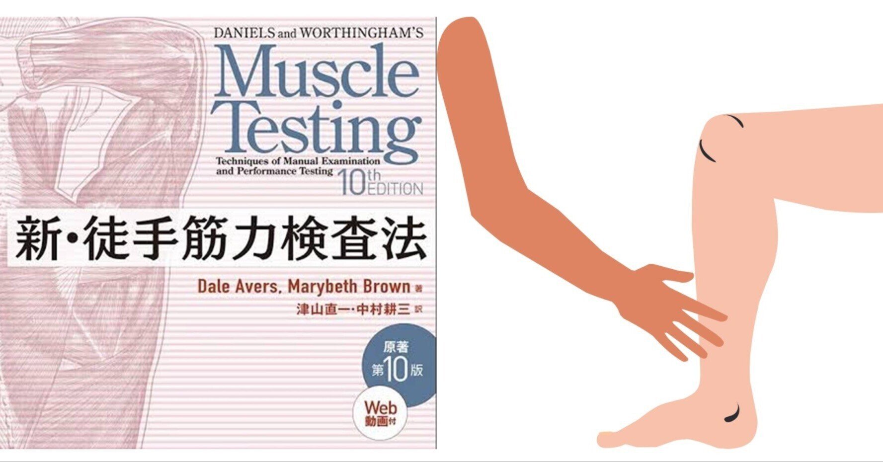 新・徒手筋力検査法(MMT)第10版まとめ｜mizuki