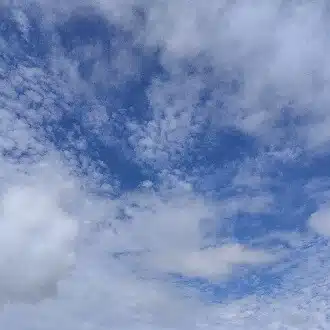 ゆるうさP