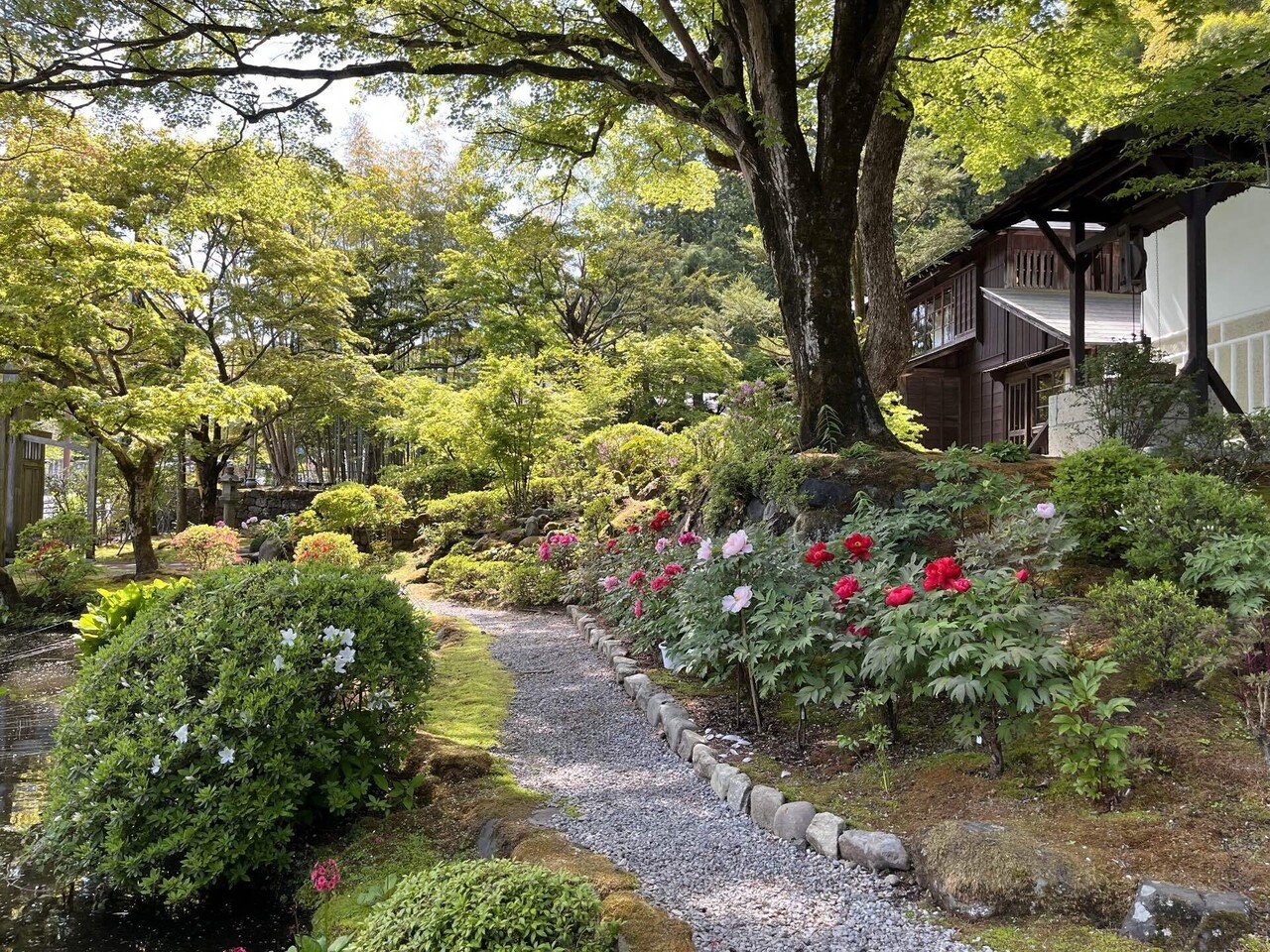 17 中禅寺湖へ。遊覧船とお散歩。 5/5④ 2023年GW #わたしの旅行 17 中禅寺湖へ。遊覧船とお散歩。 5/5④ 2023年GW #わたしの旅行