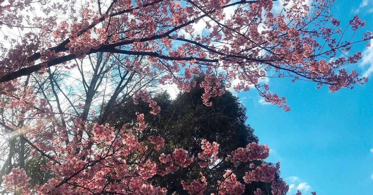 iOS_の画像__18_