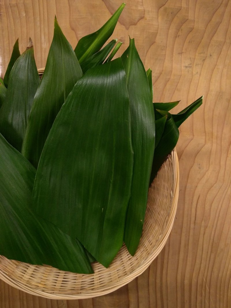 道草小噺 葉蘭 木下実験室 Note 道草小噺 葉蘭 木下実験室 Note
