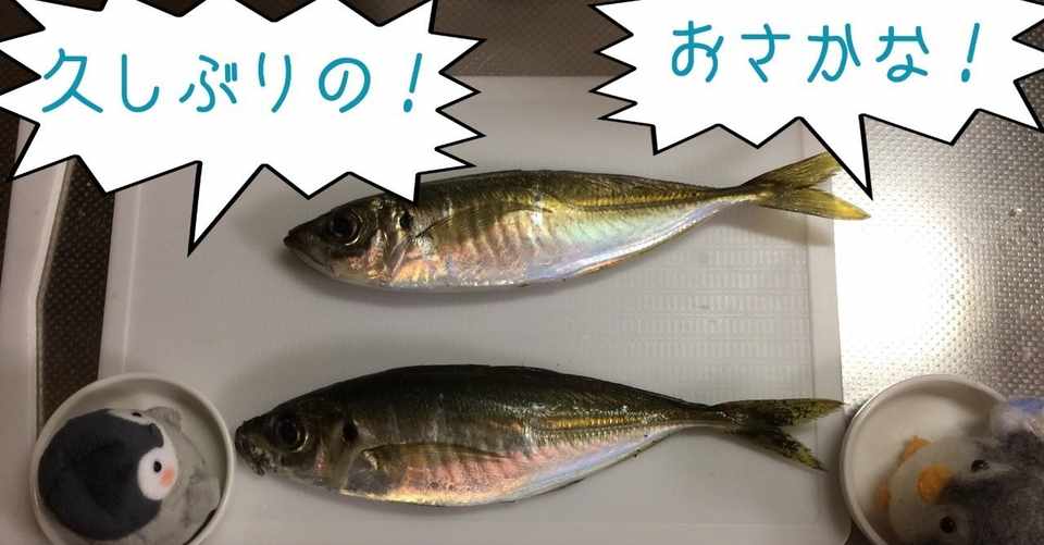 なめろう丼 手軽でスピーディ 今日のアジはどんな味 たのしいアジングと激うまレシピ Note