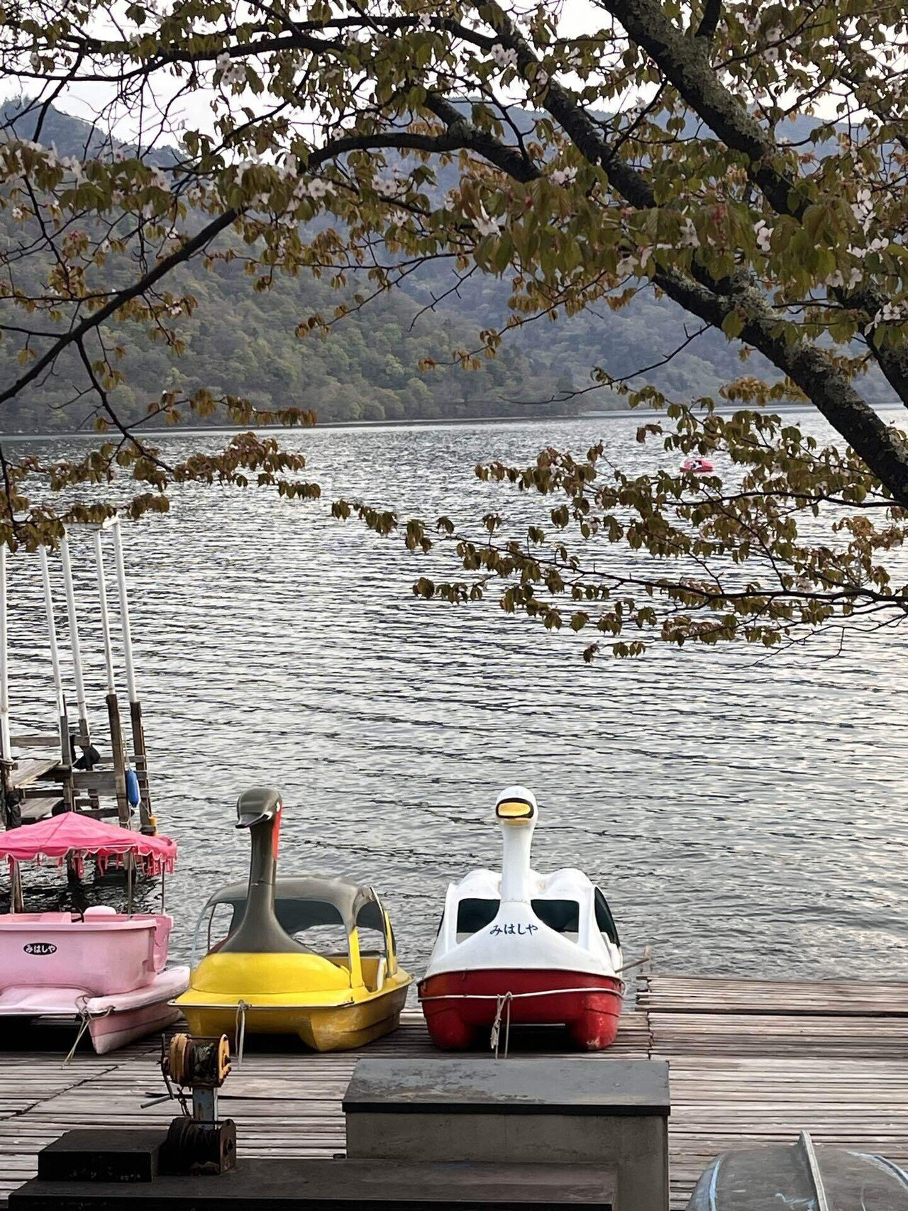 17 中禅寺湖へ。遊覧船とお散歩。 5/5④ 2023年GW #わたしの旅行 17 中禅寺湖へ。遊覧船とお散歩。 5/5④ 2023年GW #わたしの旅行