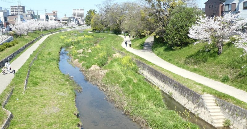 【 伊賀川 岡崎市 】 岡崎城の堀のなごりが、緑あふれる川になる（#水辺ウォーク）