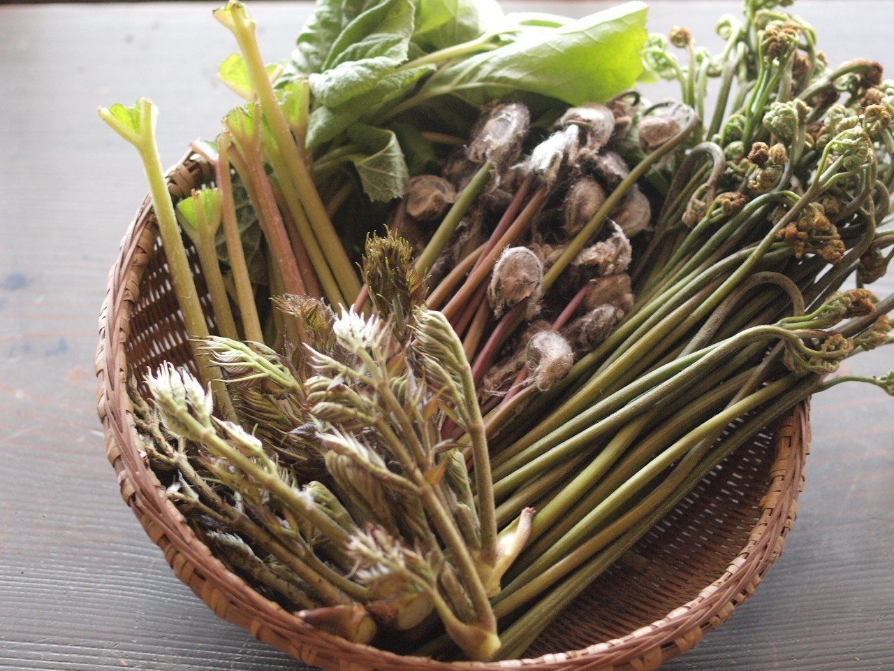 春の山菜 おかずに困らない季節 Hijet6243 Note 春の山菜 おかずに困らない季節 Hijet6243 Note