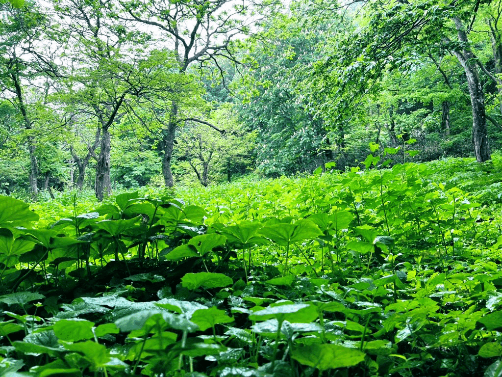  Apple、アプリ追跡の透明性を現実世界に喩えたユーモラスな新しい「追跡型」広告を公開