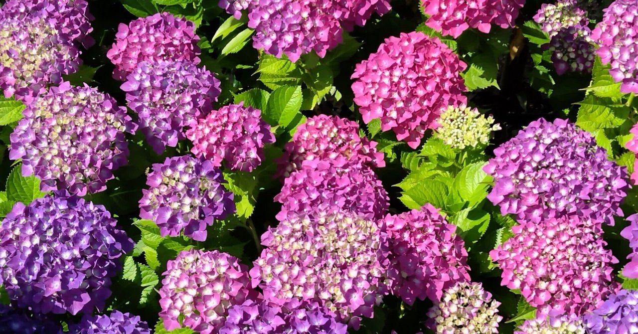 2023.6.2(金)【3行日記】