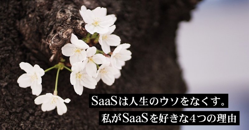 SaaSは人生のウソをなくす。私がSaaSを好きな4つの理由