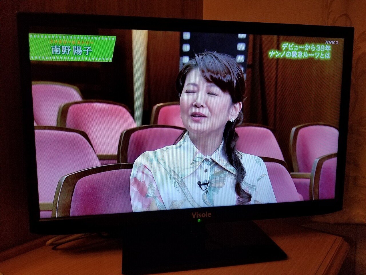 流れる黒髪のように、南野陽子さま論をしようと思ったら、なぜかファミリーヒストリア？が南野陽子神｜ZIVSHOW