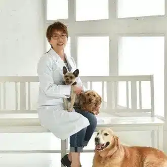 獣医りえ｜犬猫の涙やけ・歯・皮ふ・耳のトータル治療が専門