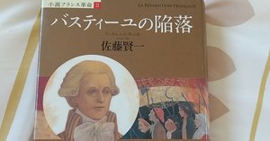 佐藤賢一『小説フランス革命』を読んで｜manami