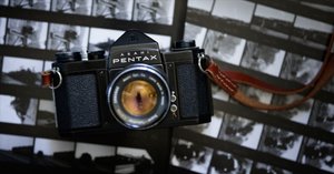 結局、最高のフィルムカメラってどれ？｜kimura noriaki