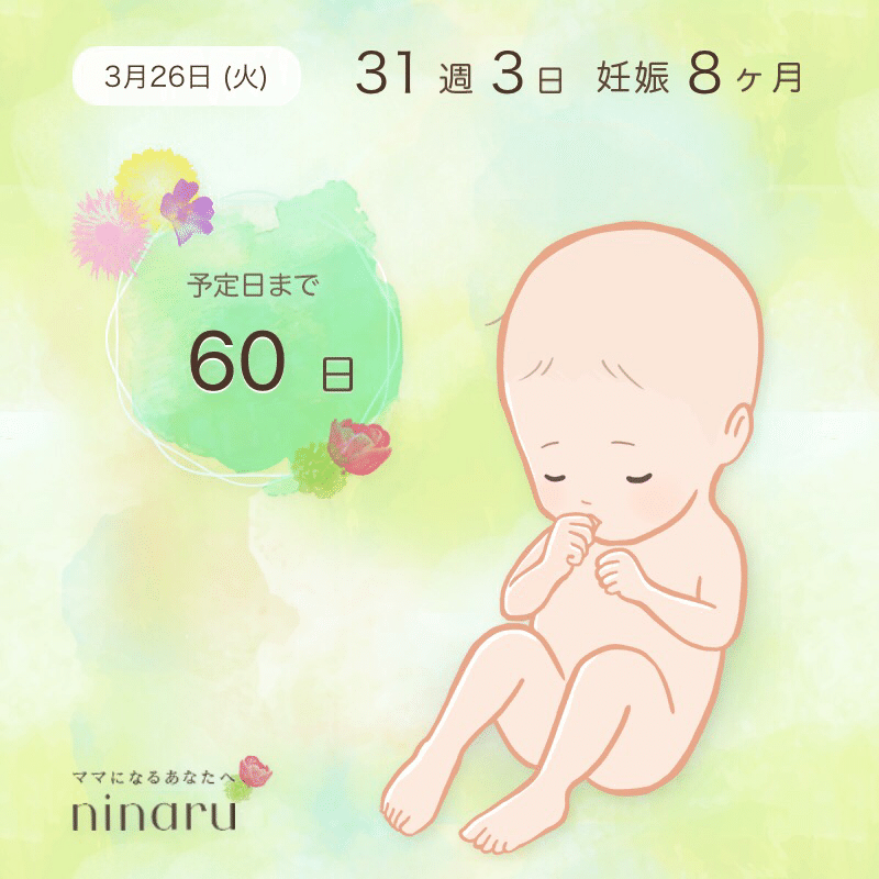 31週3日 2人目 3人目の出産は上の子と似たような週数で産まれる ははこの広場もりそだち 蒲郡 山登り助産師 Note