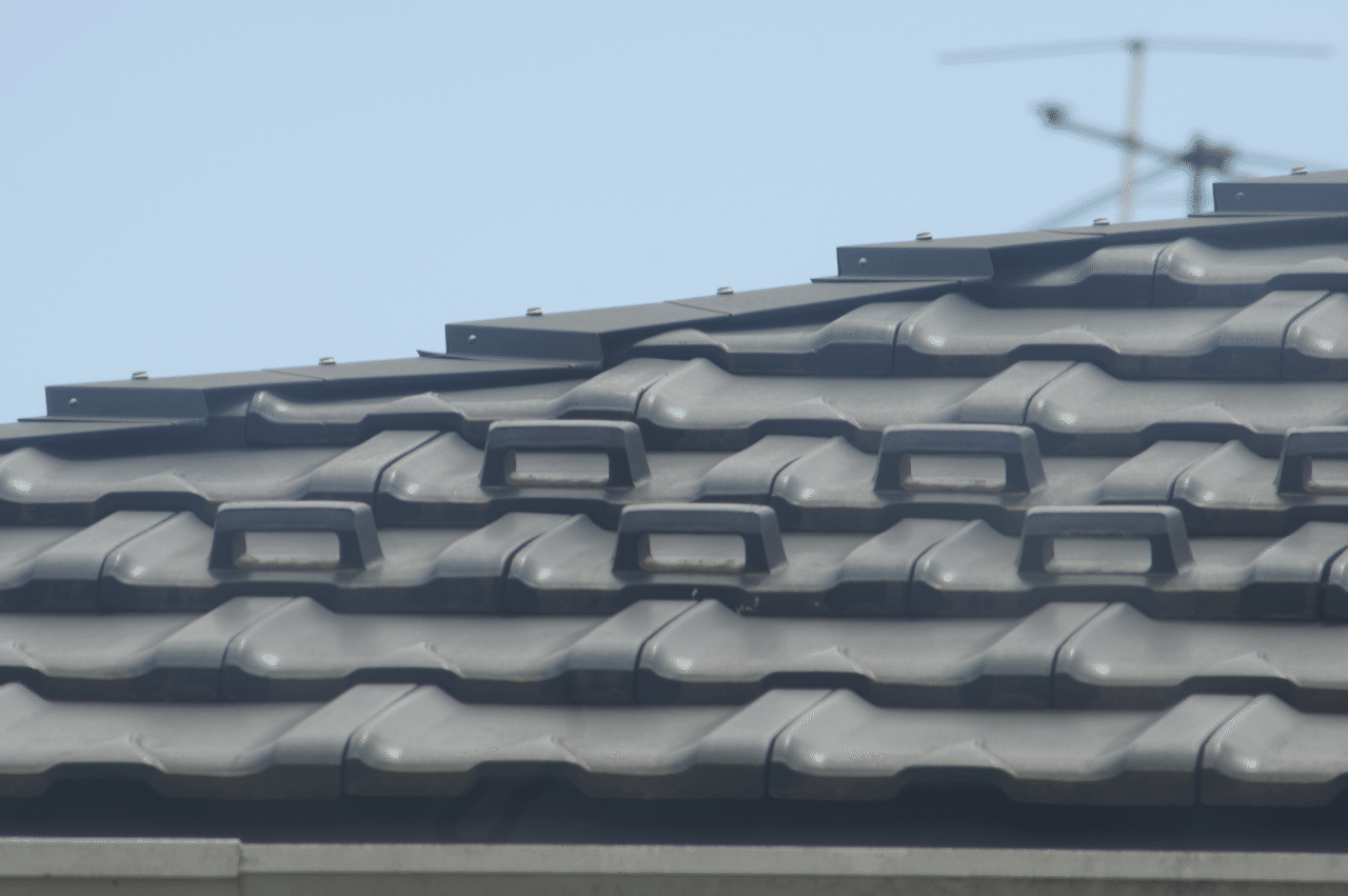 Canon ZOOM LENS FD 100-300mm F5.6｜a_photo