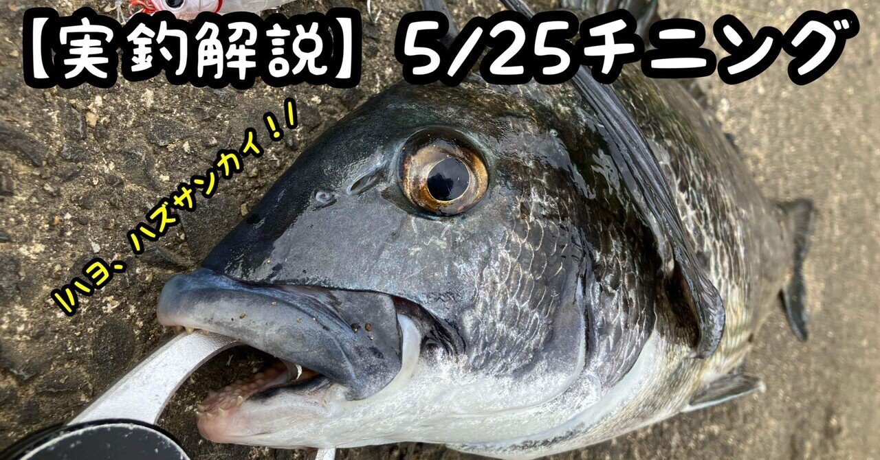 コラム】2023トップチニング振り返り（総集編）｜ぐっちあっきー