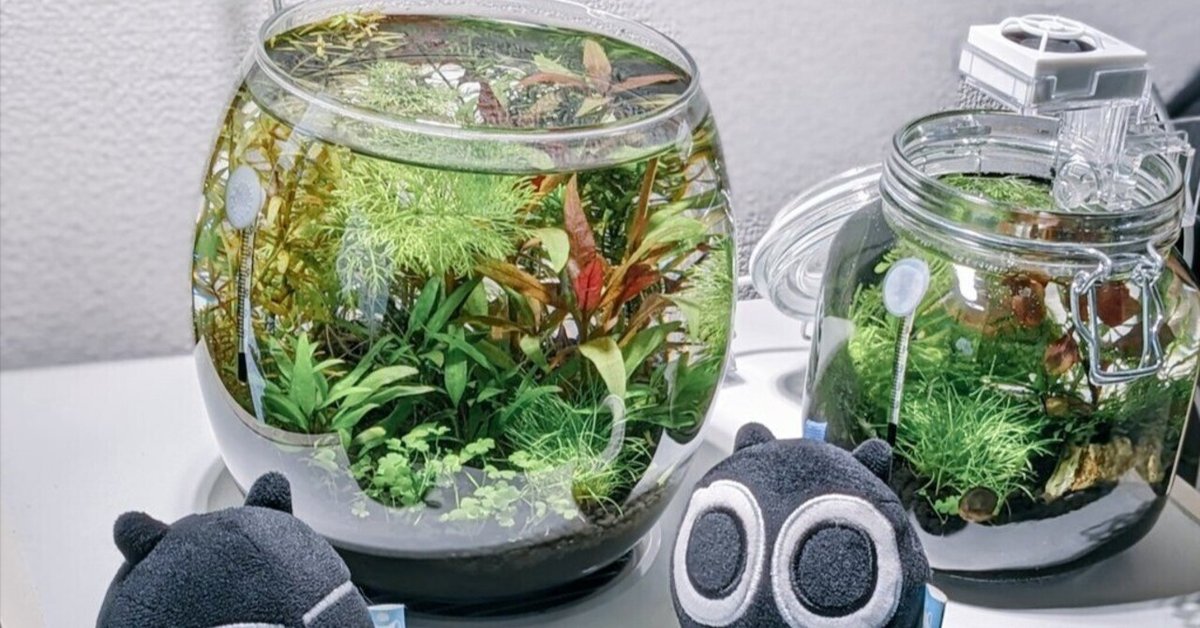 ボトルアクアリウム ボトルアクアリウム8