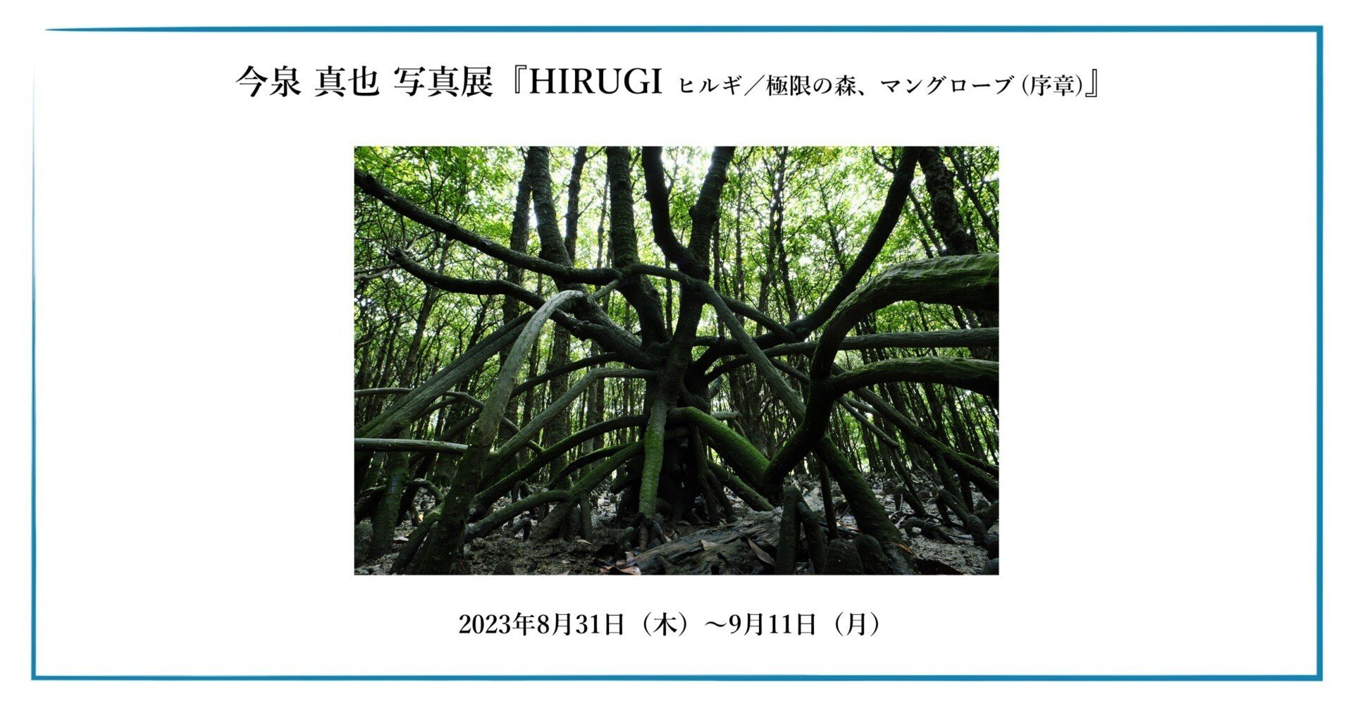 Amazon.co.jp: いのちの森づくり 〔宮脇昭自伝〕 : 宮脇 昭: 本