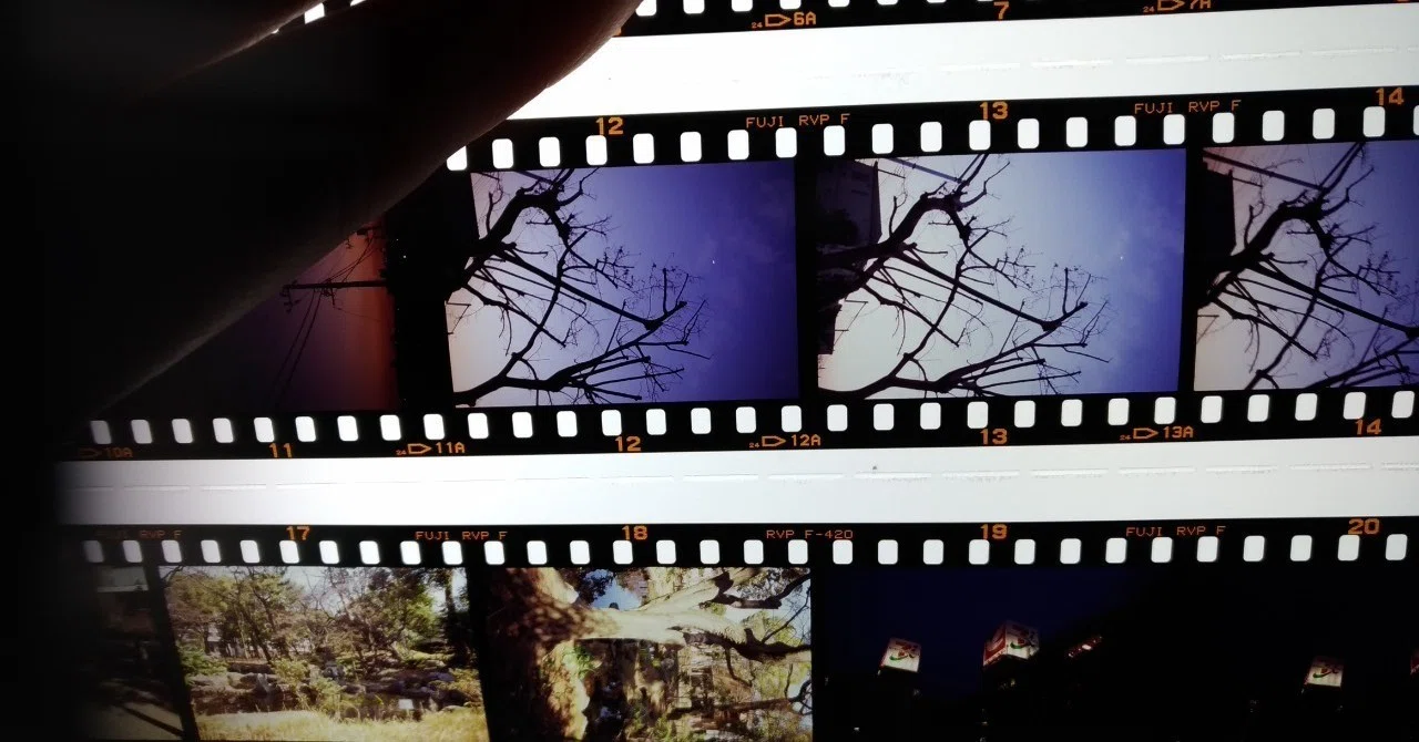 期限切れ リバーサルフィルム｜ふたば