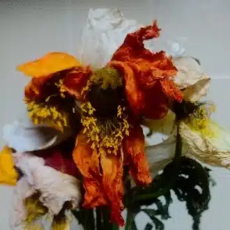 機能不全おじさん