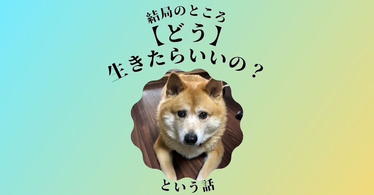 ABC法講座　奥義編 ABC法講座 奥義編 【公式通販】