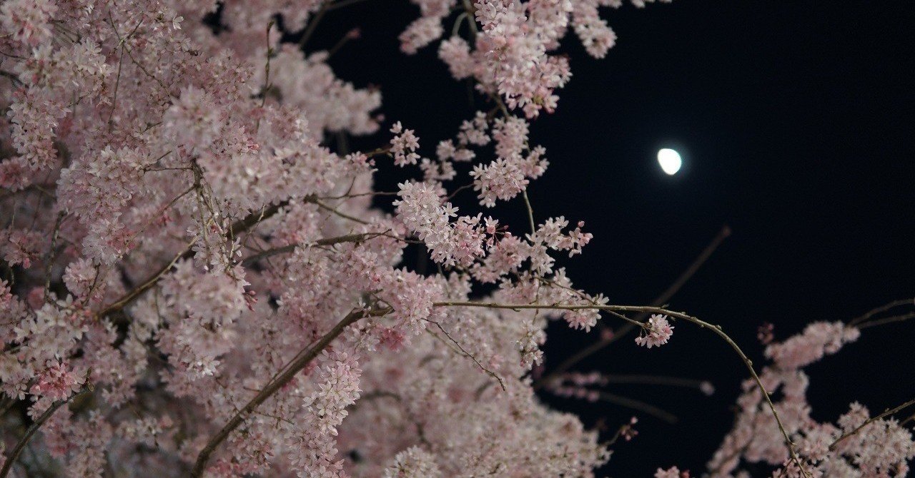 桜の精霊 鈴木 ワカナ 心理占星術家 Note
