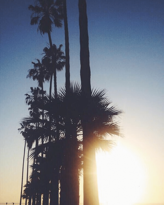 Sunrise Mee Photography Note