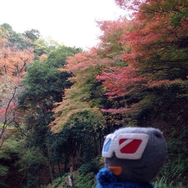 京都 嵐山にて。