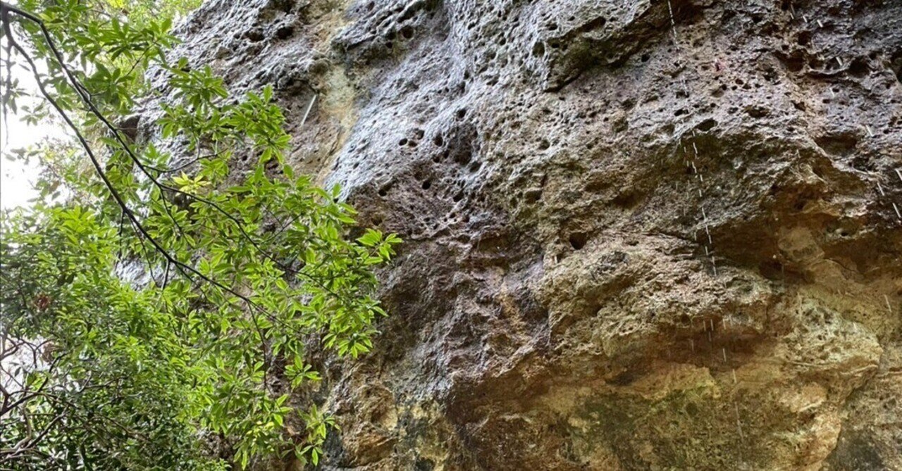 今更フィジカルに向き合ってみる|noob_climber