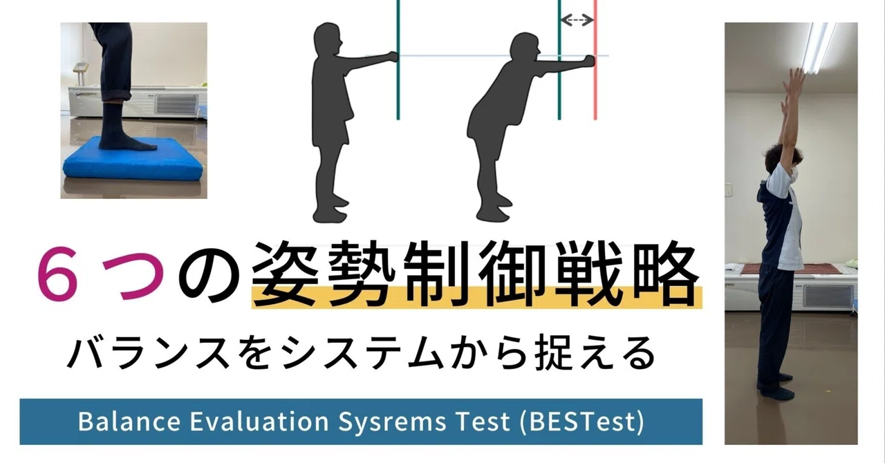 6つの姿勢制御戦略|理学療法メモ