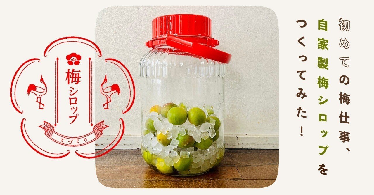 ガバロンシロップのリーフレット