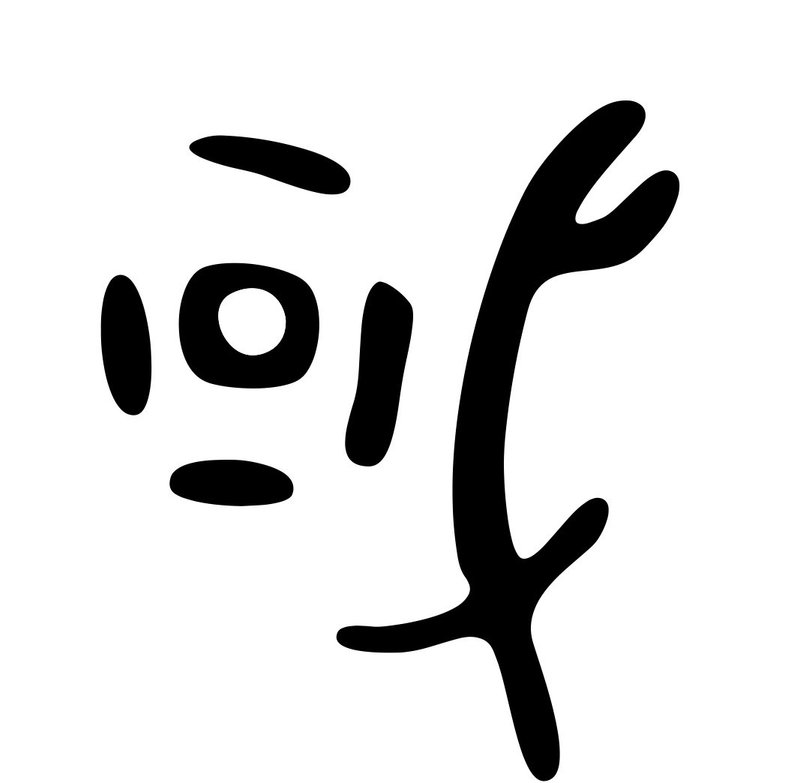 国 はどうして中に玉が入っているの Ku Note