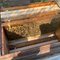 honeybee8