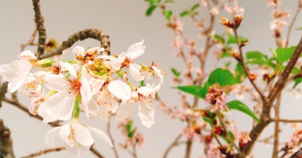 新卒から13年勤めたエン・ジャパンを退職します。