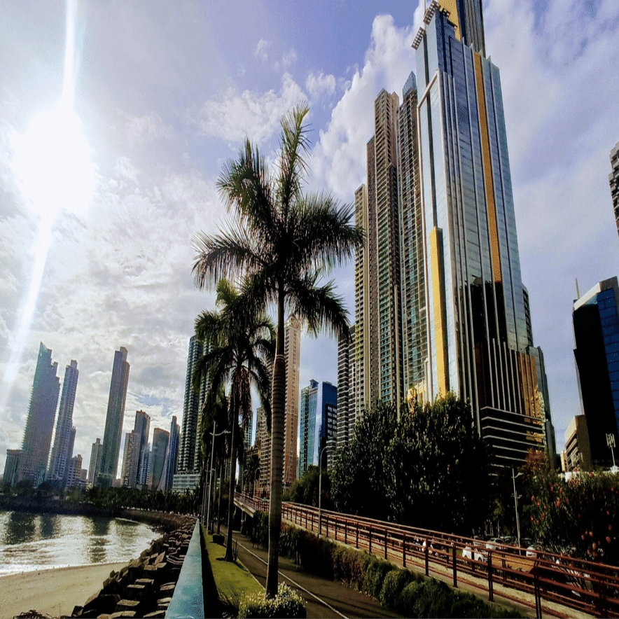 パナマゴールデンビートルSHB - 魅惑の味わいを知る旅｜portcoffee