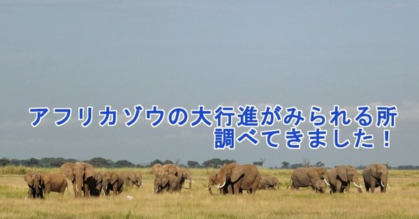 まるまるサファリの本』＊サファリ取材の裏ばなし - ケニア