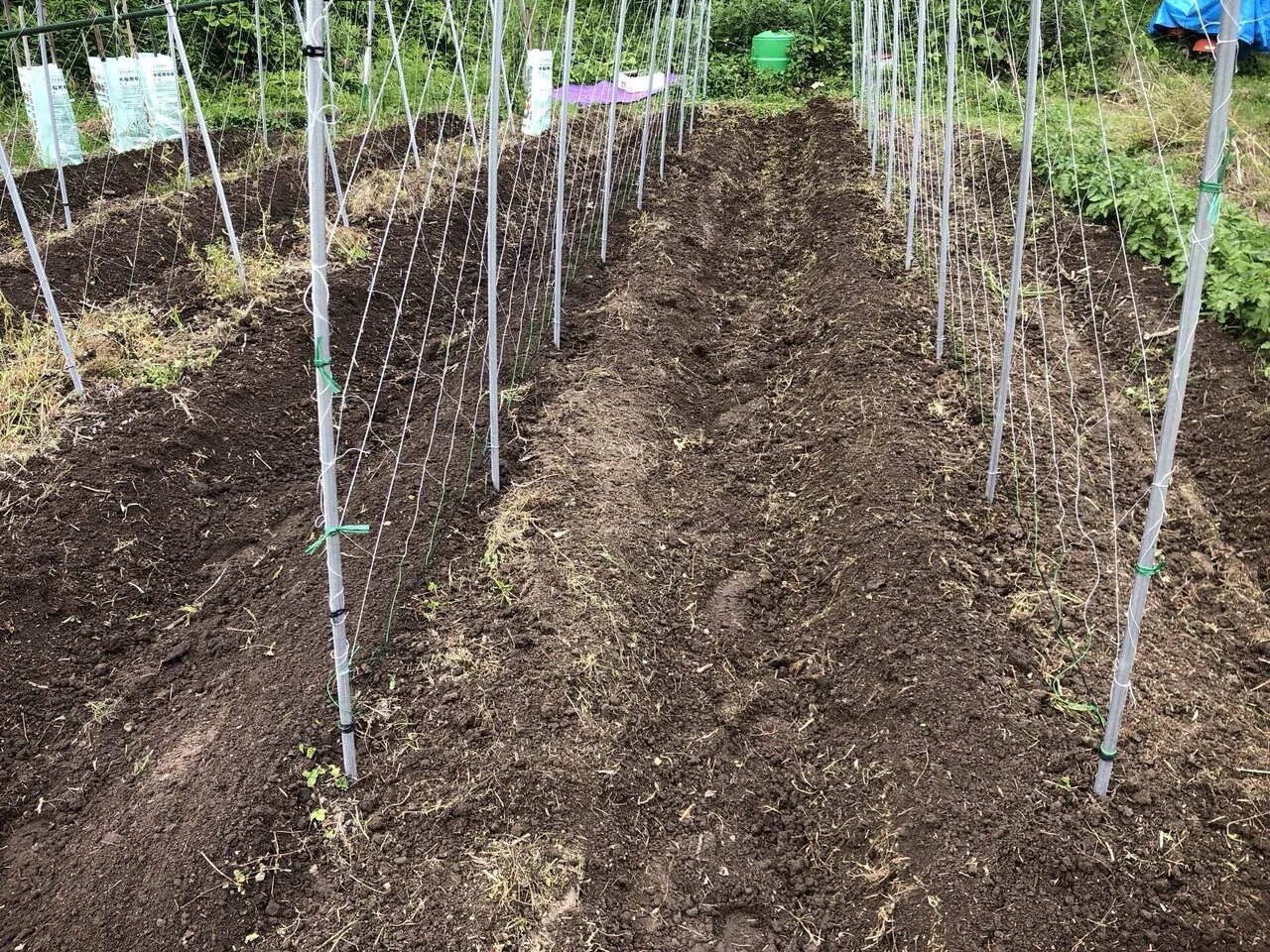 物語の舞台｜MUNA_FARM 無農薬自給自足