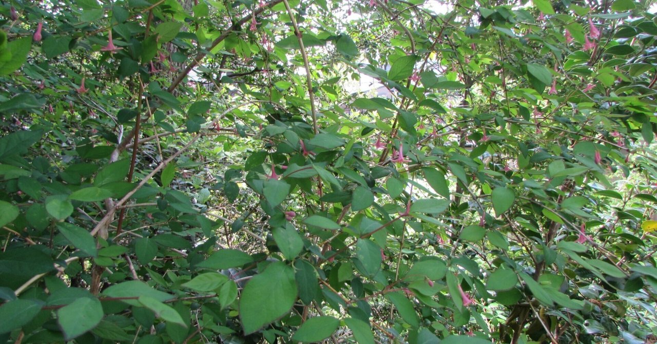 34・ブレッド&バターの「あの頃のまま」|takichanmama