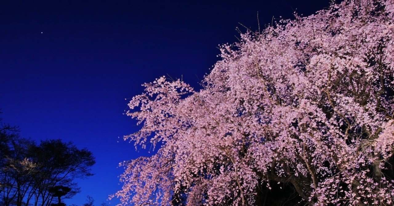 13 桜が泣いて見えたから Takafumi Ito Note 13 桜が泣いて見えたから Takafumi Ito Note