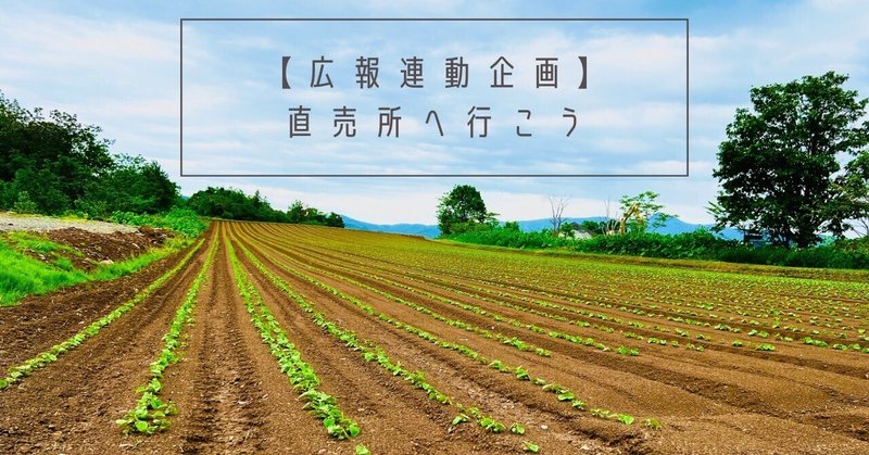 【広報ニセコ連動企画】"ニセコの直売所”の多様性とやさいの鮮度