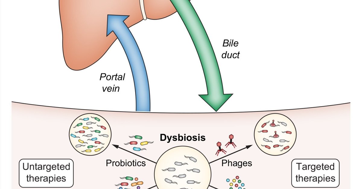 カイリュー　Lv.61　整理番号、ps-58 カイリュー Lv.61 整理番号、ps-58 カイリュー Lv.61 整理番号