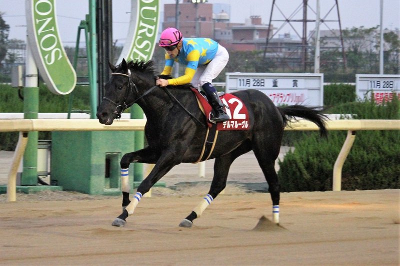 ドバイワールドカップ19の発走予定時刻と出走日本馬情報 予想屋マサ 競馬本 トップベッティング の著者 Note ドバイワールドカップ19の発走予定時刻と出走日本馬情報 予想屋マサ 競馬本 トップベッティング の著者 Note