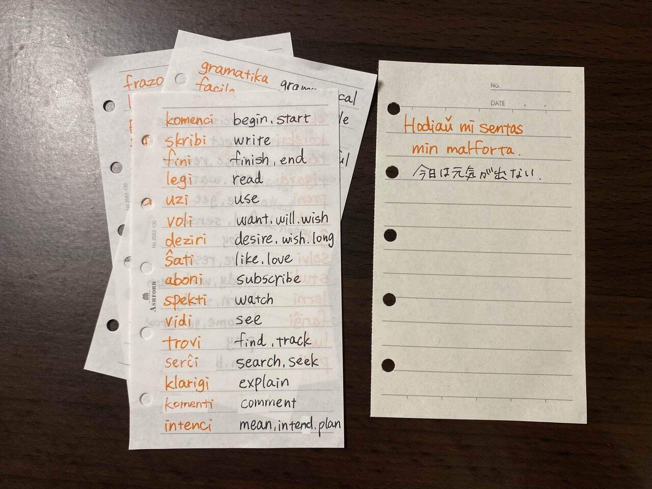 文法はまだ完璧ではない（20230607エスペラント語進捗）｜サエキ エマ