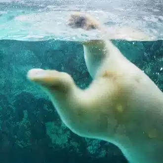 ふなよい