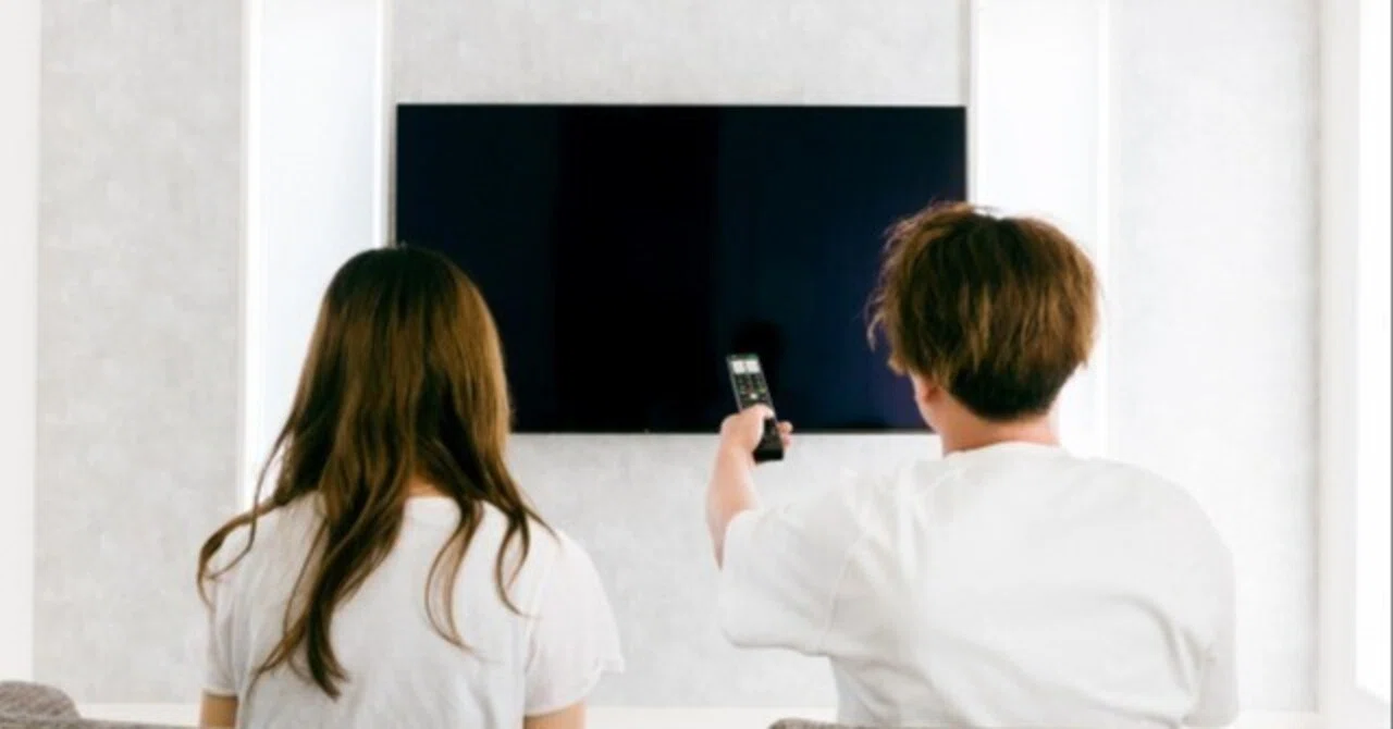 テレビ つけ っ ぱなし 電気 代
