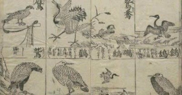 鳥類学 Strix VOL27-39 Hobby's World｜野鳥撮影やバードウォッチングの