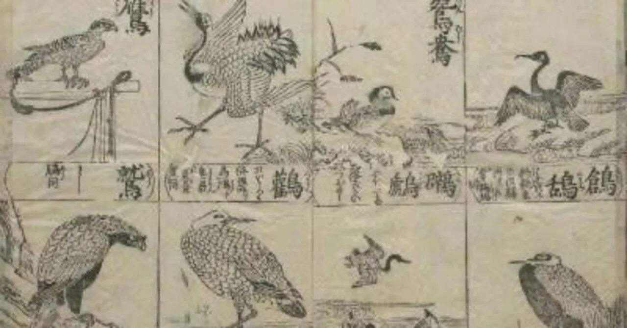 第2551回 日本の昔の鳥類図鑑｜翆野 大地
