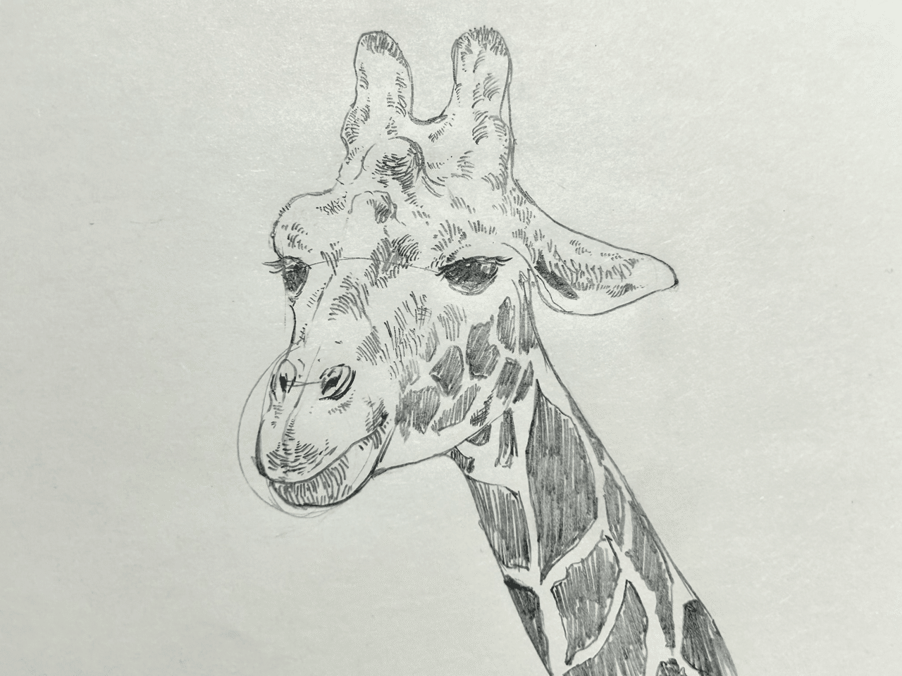 キリンの親子　水彩画　自己流　動物好き キリンの親子 水彩画 自己流 動物好き キリンの親子 水彩画